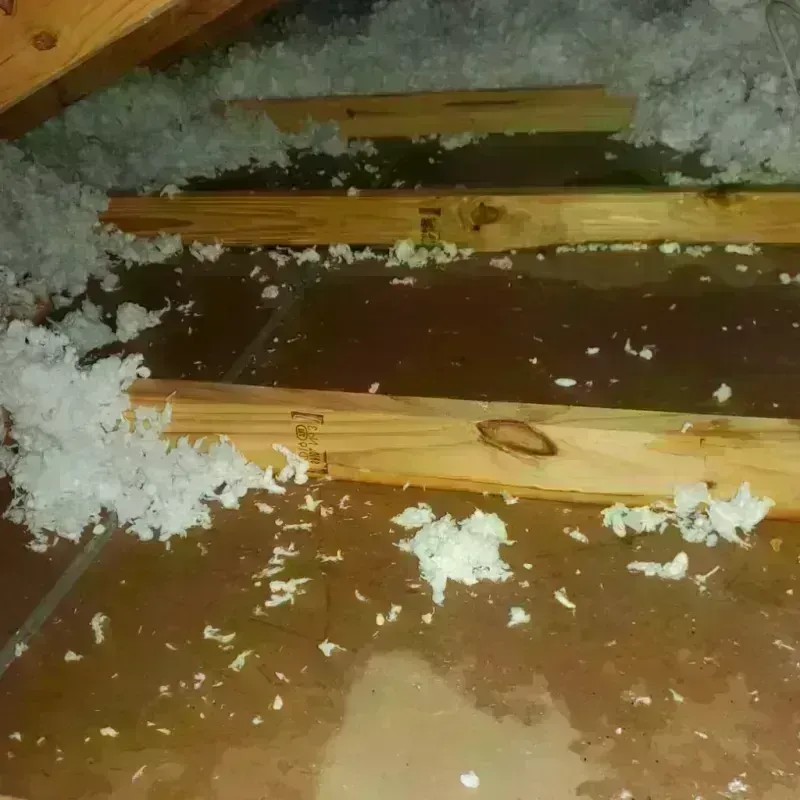 Attic Water Damage in Paso Robles, CA